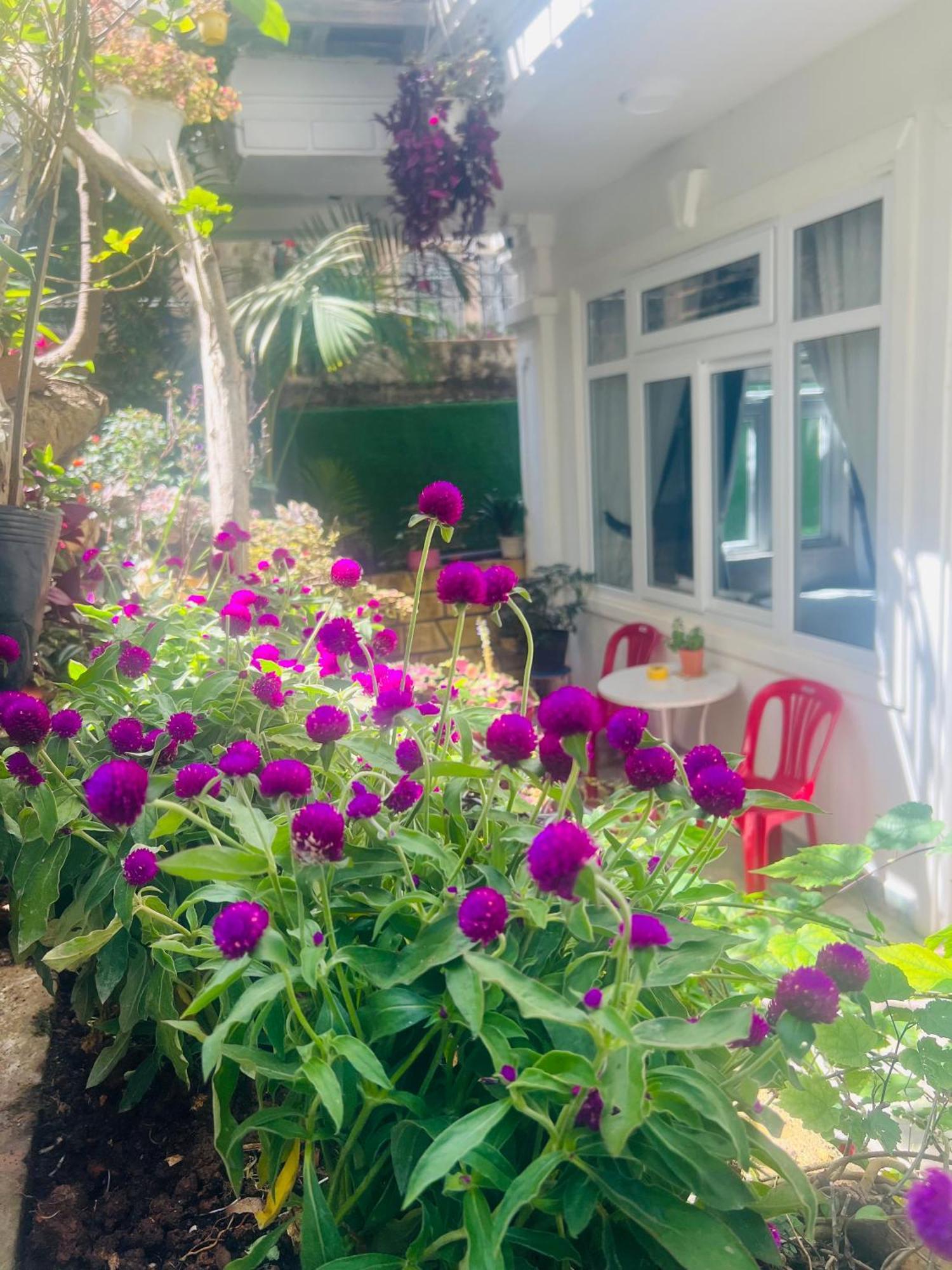 Villa - Hotel Nam Khang 2 Dalat Dış mekan fotoğraf
