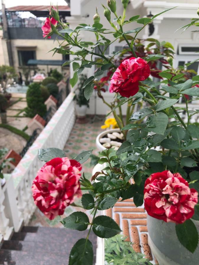 Villa - Hotel Nam Khang 2 Dalat Dış mekan fotoğraf