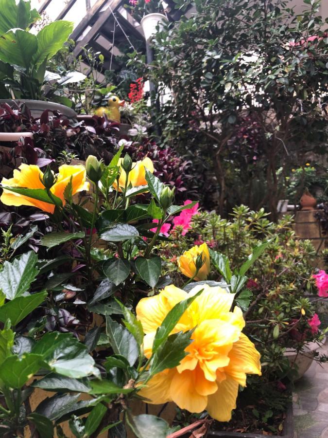 Villa - Hotel Nam Khang 2 Dalat Dış mekan fotoğraf